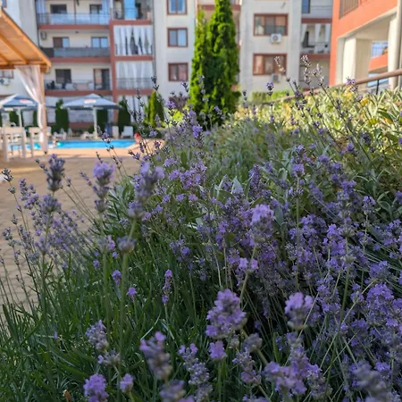 Green, Grass Of Апартамент